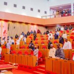 Senate minority leader criticises state police, says governors have personal agenda