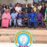 NERC Has Transferred Power Sector Oversight To 16 States — NERC Chair Oseni